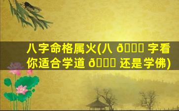 八字命格属火(八 🕊 字看你适合学道 🐟 还是学佛)